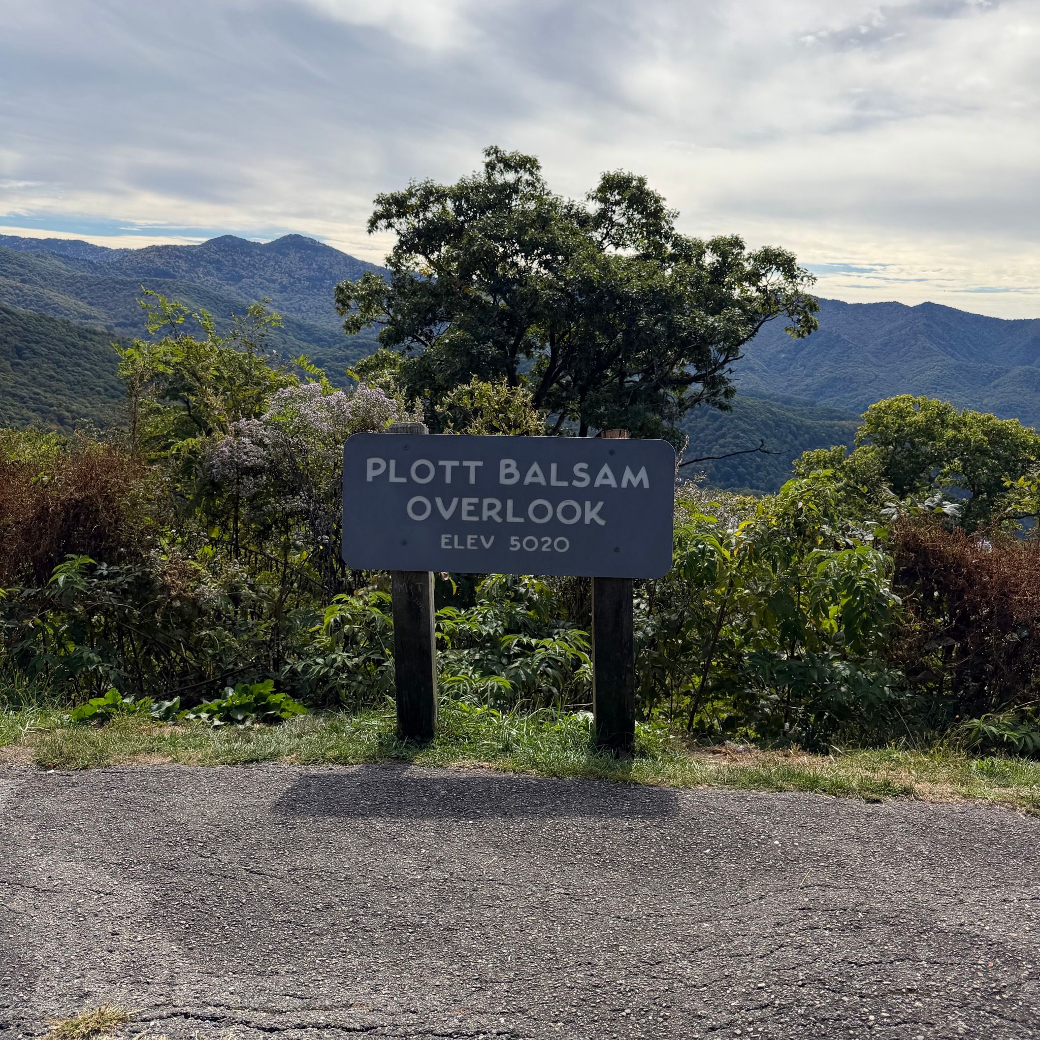 Plott Balsam Overlook