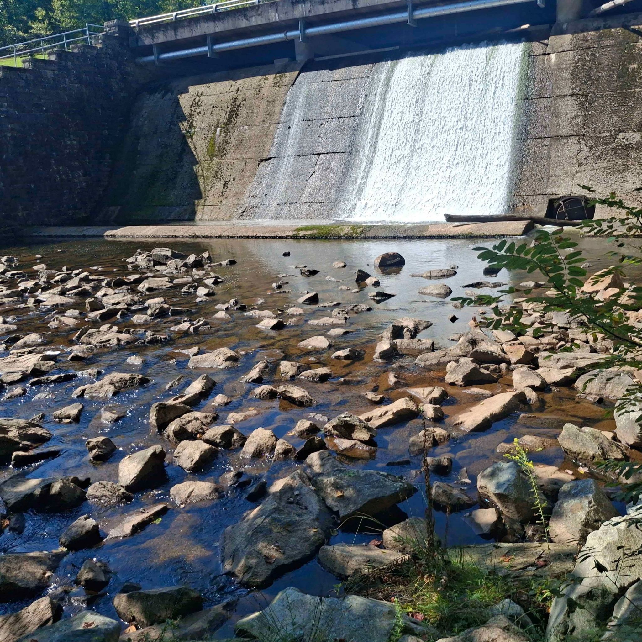 The dam