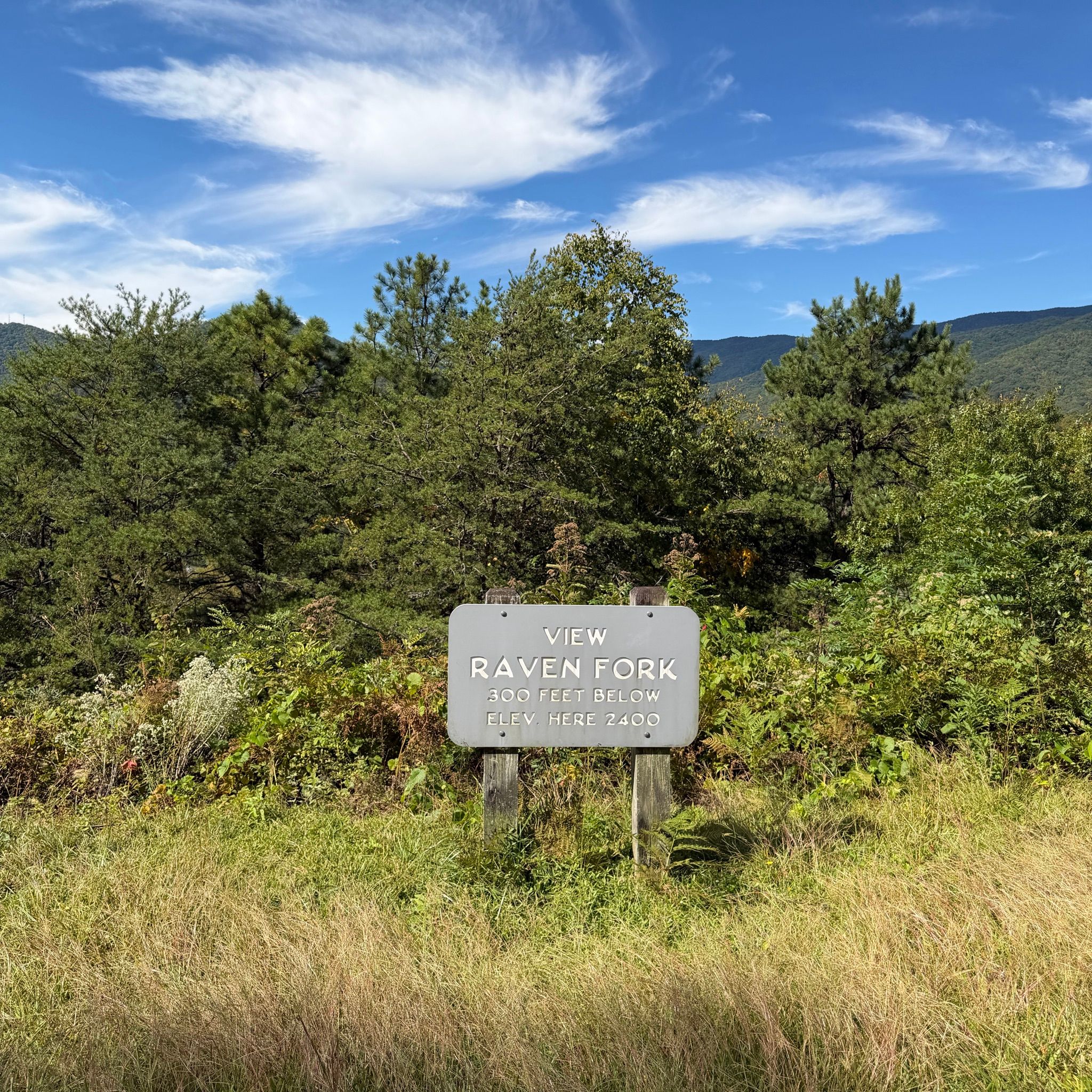 View of Raven Fork