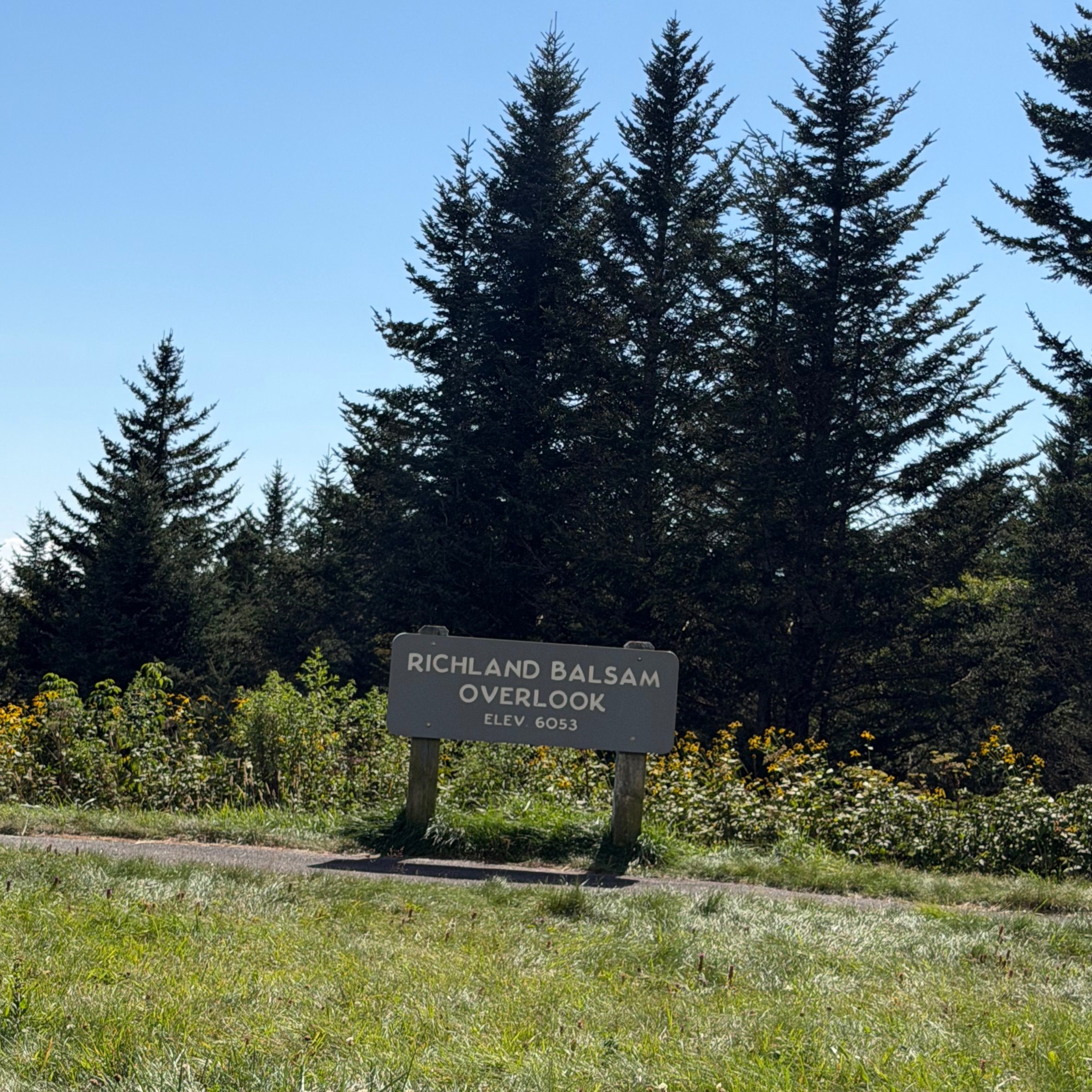 Richland Balsam Overlook