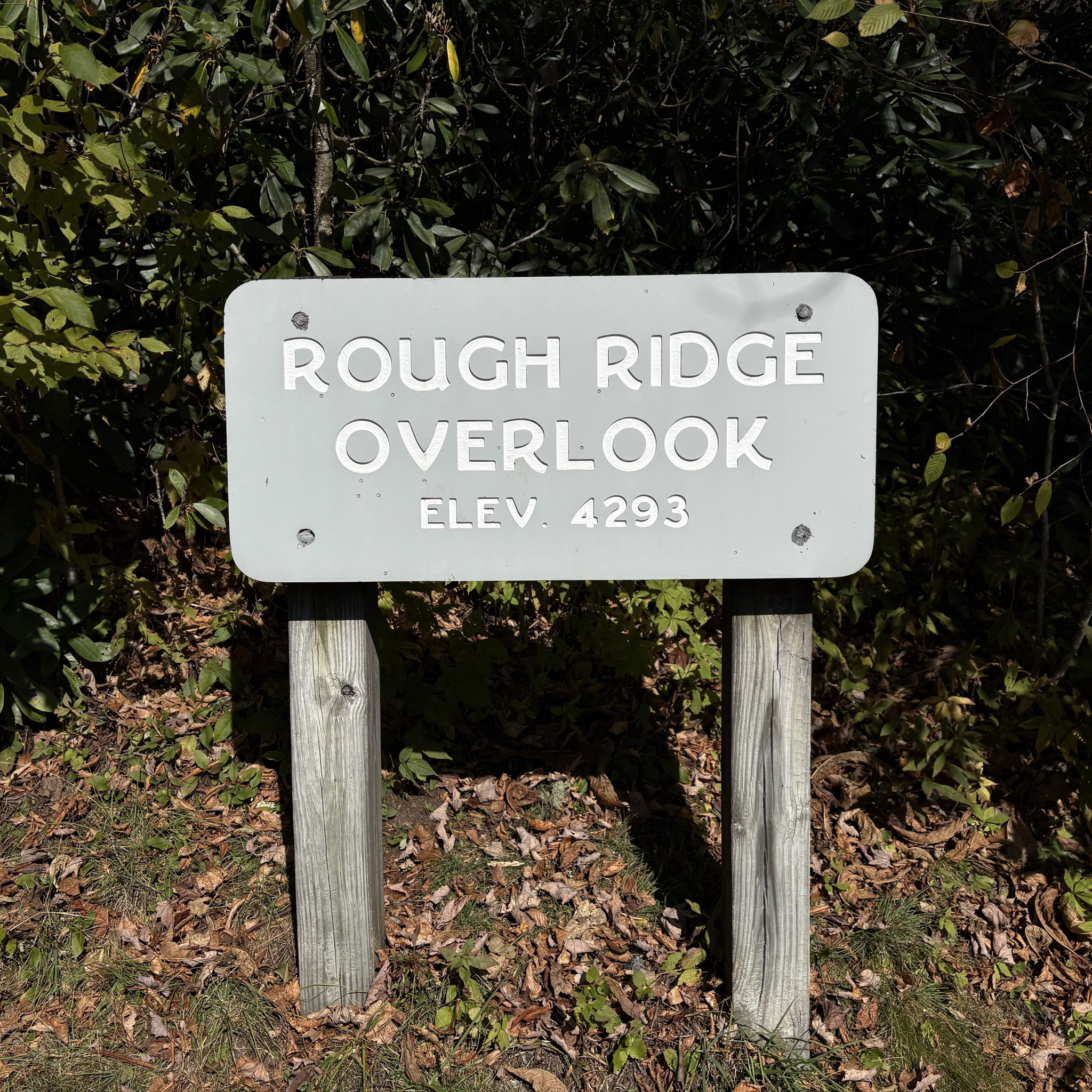 Rough Ridge Overlook