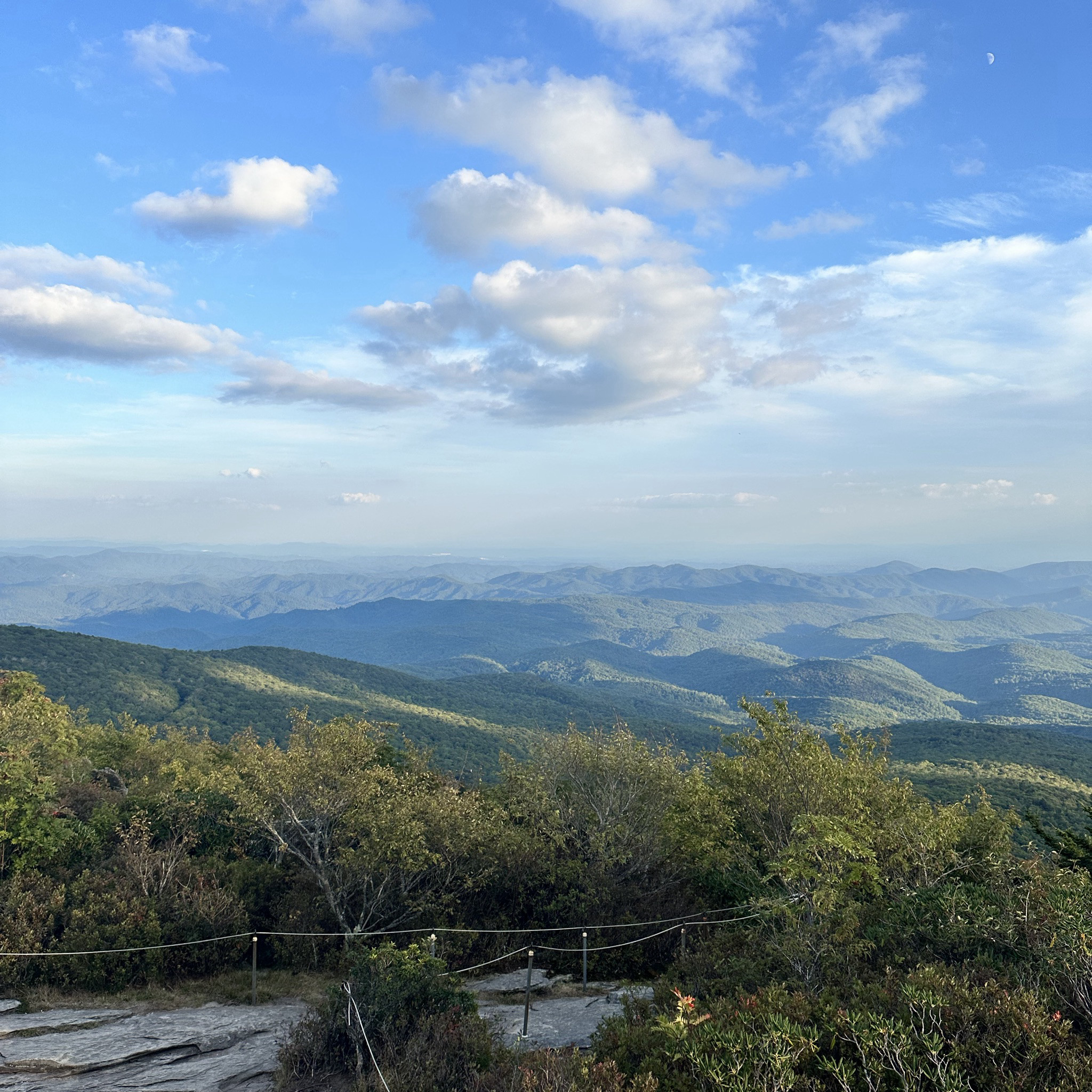 Photo of rough-ridge