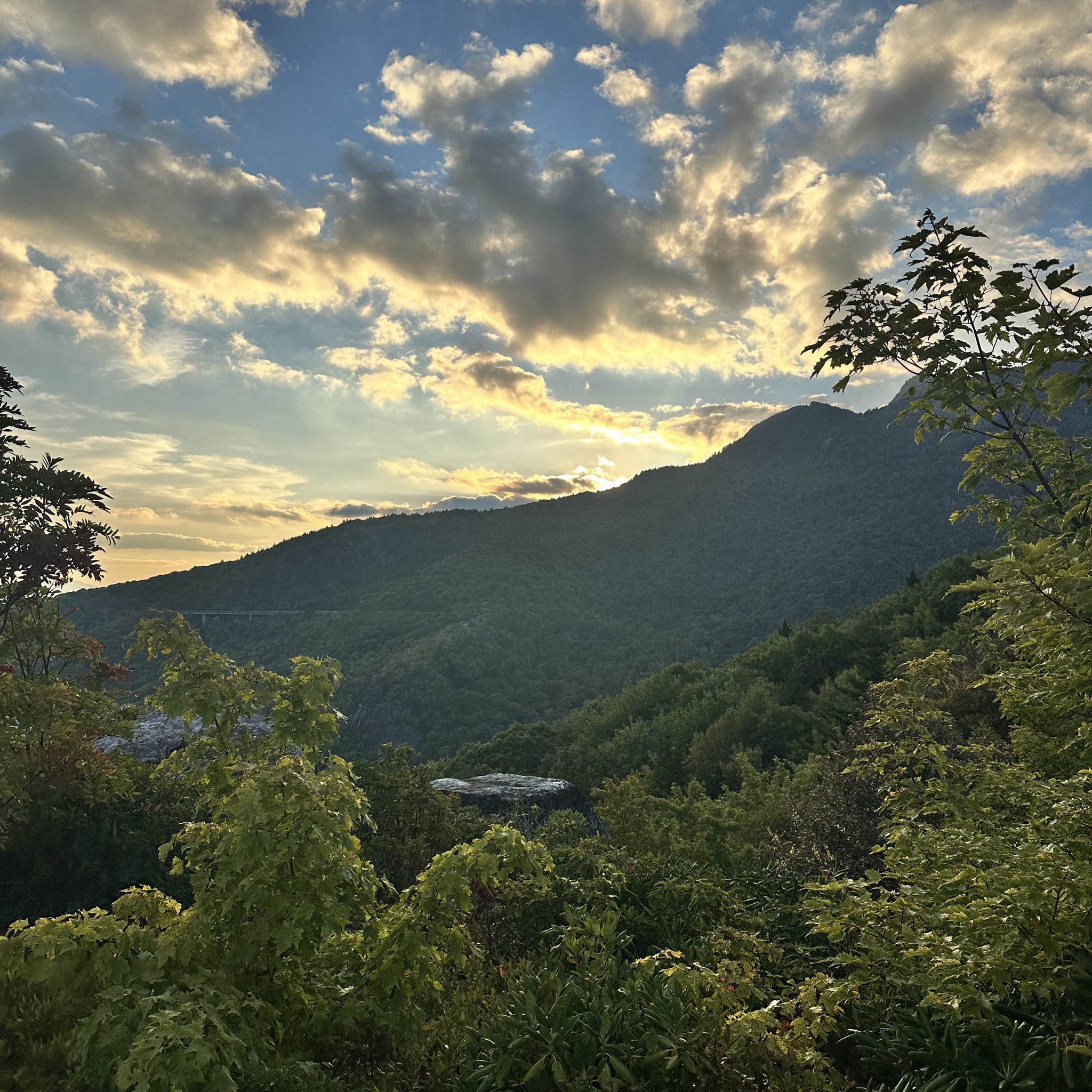 Photo of rough-ridge