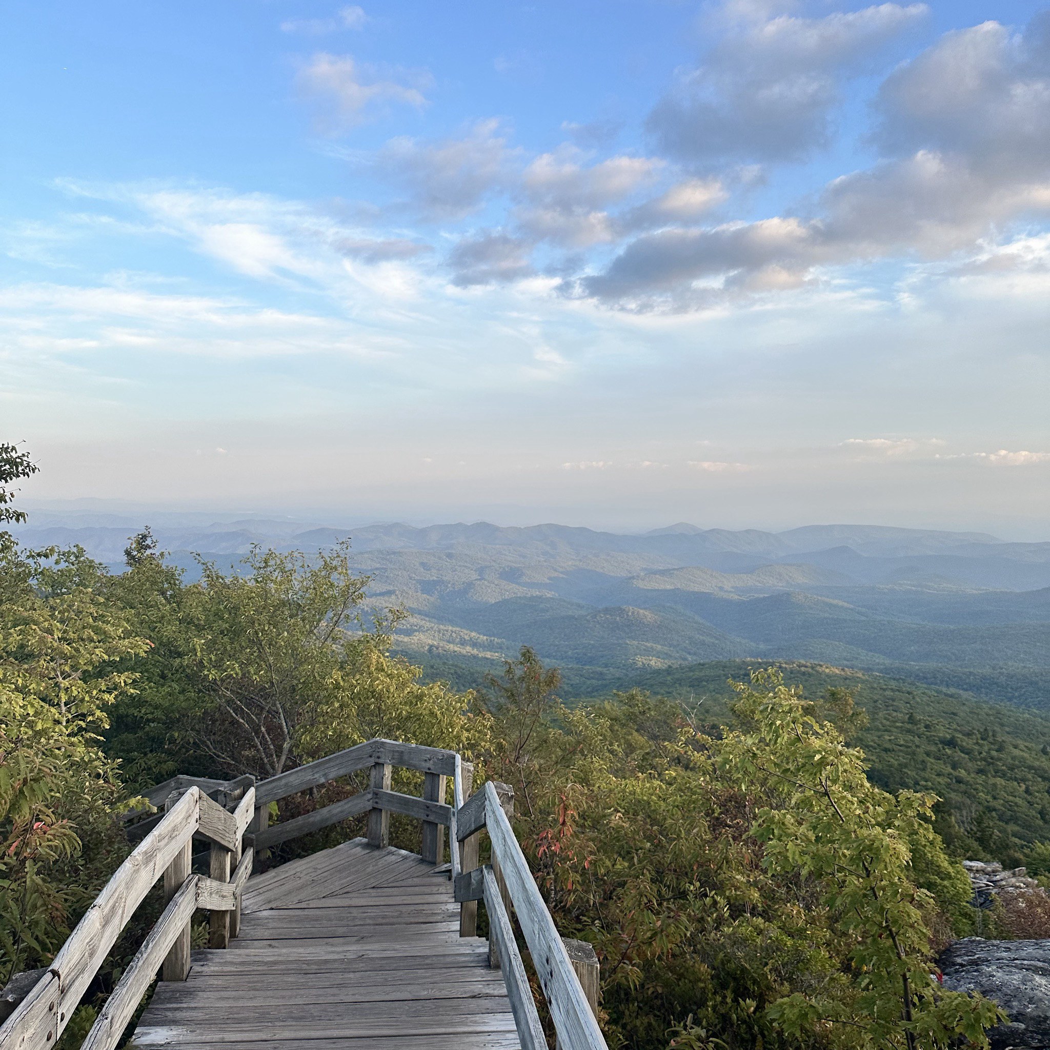 Photo of rough-ridge