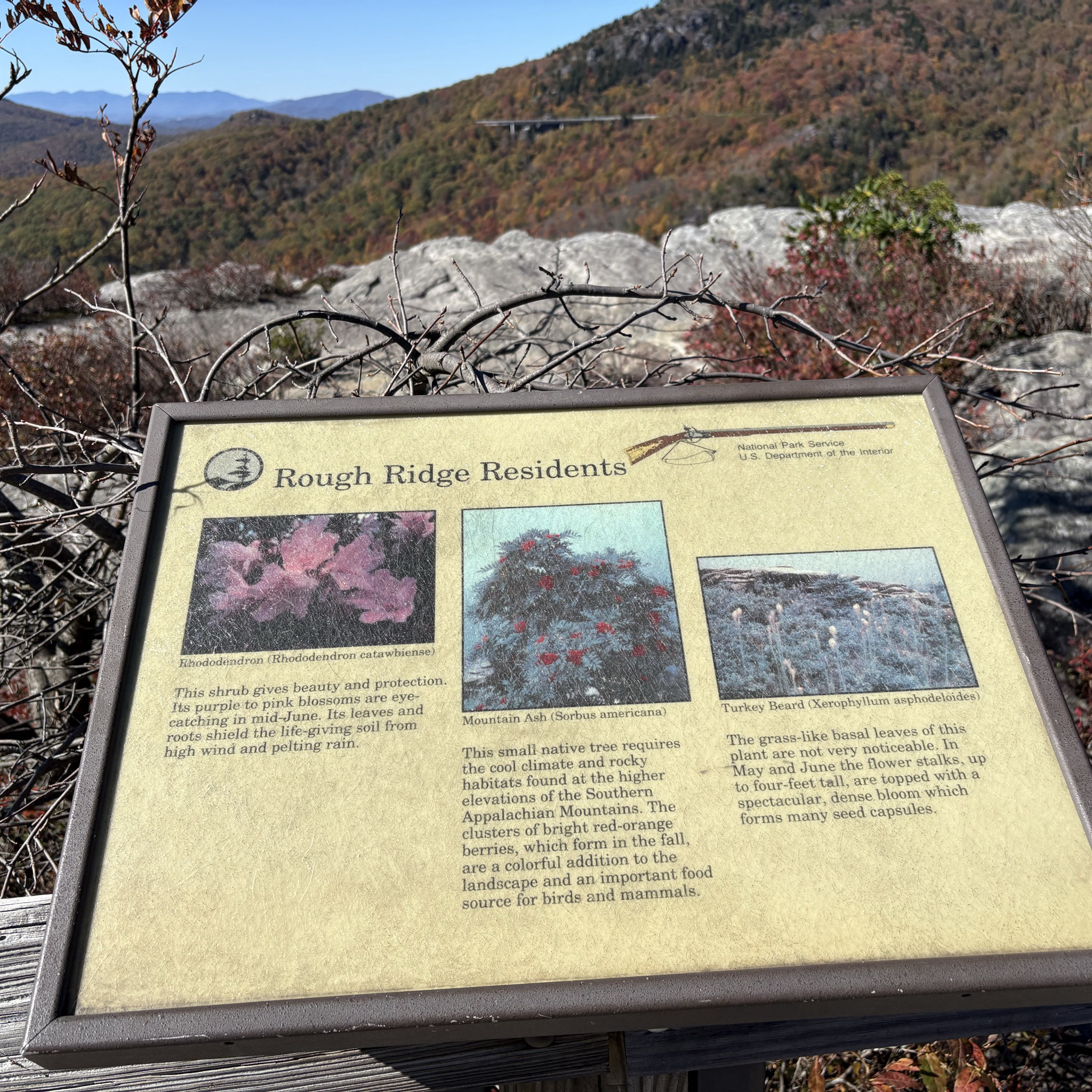 Native foliage sign on trail to Rough Ridge.