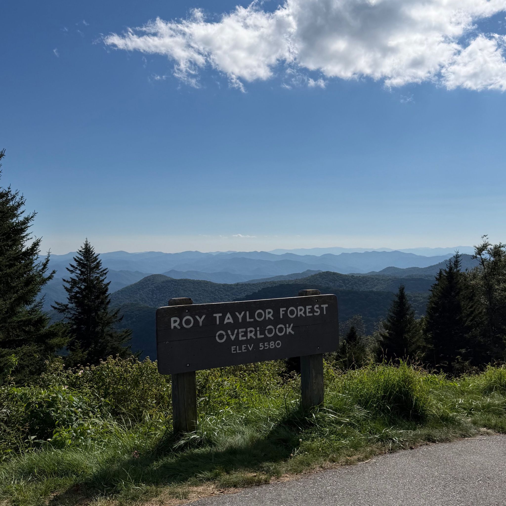 Roy Taylor Forest Overlook