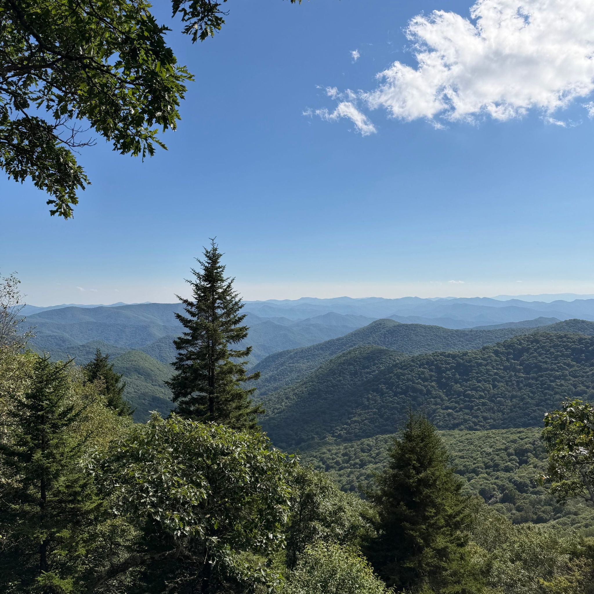 View from Observation Deck