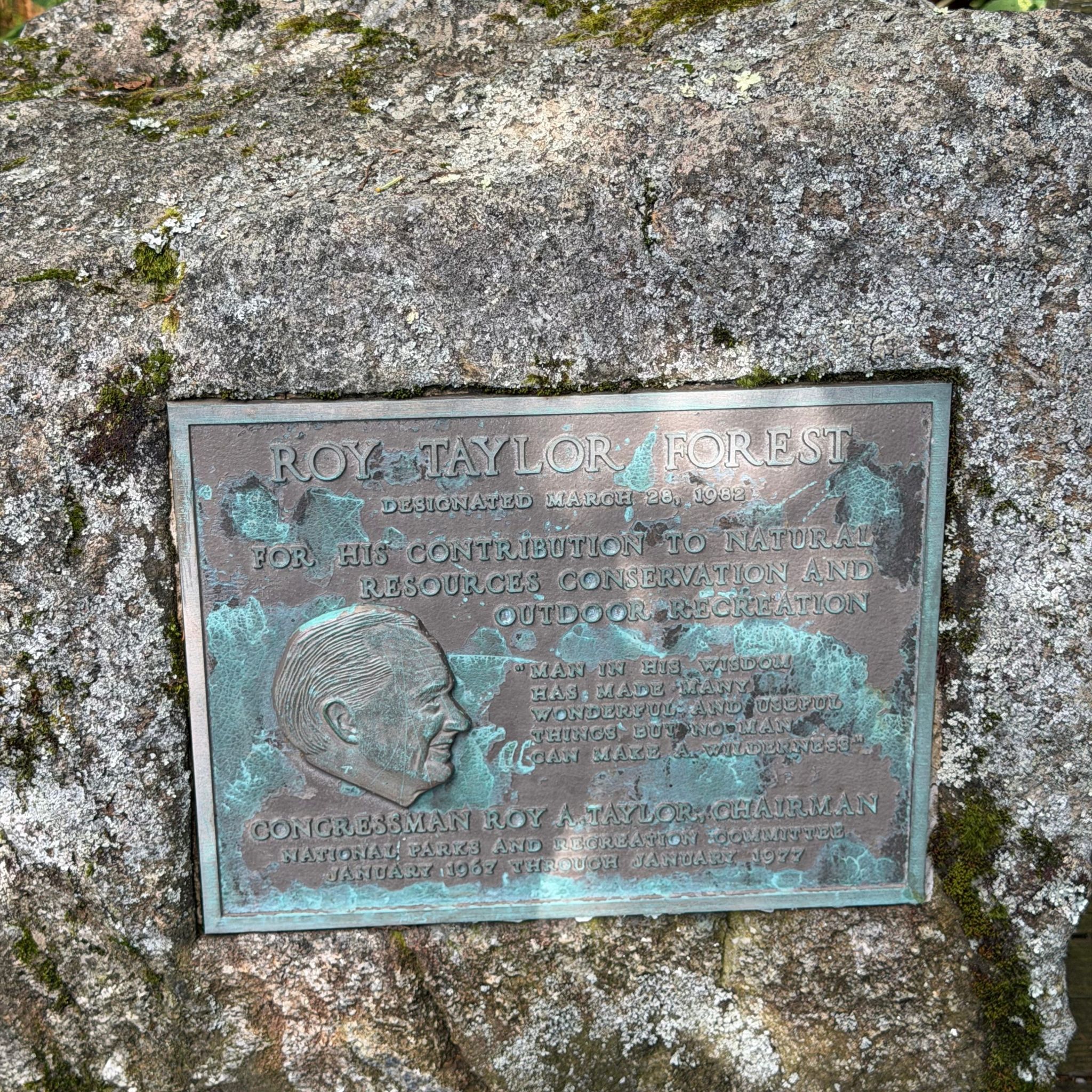 Photo of roy-taylor-forest