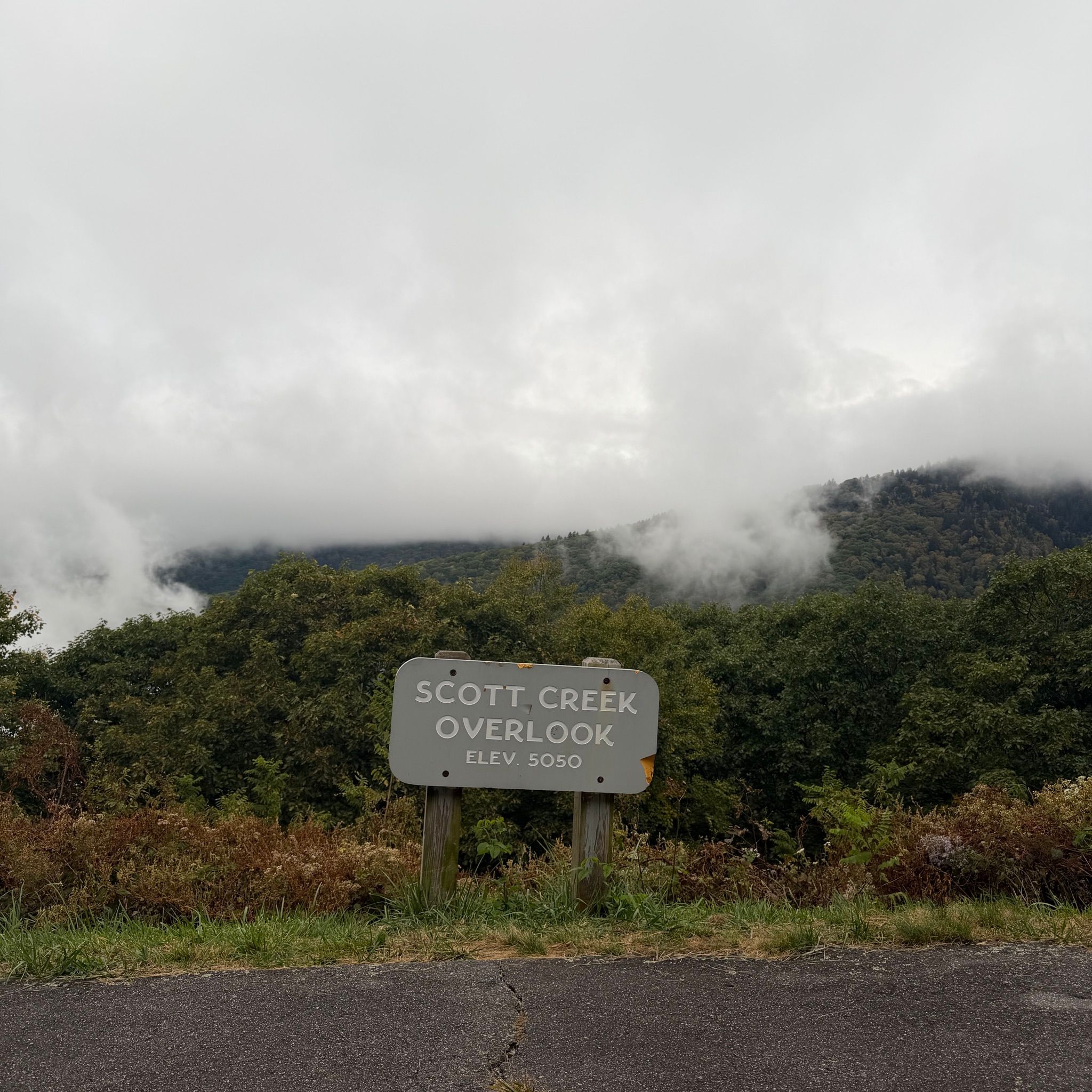 Scott Creek Overlook