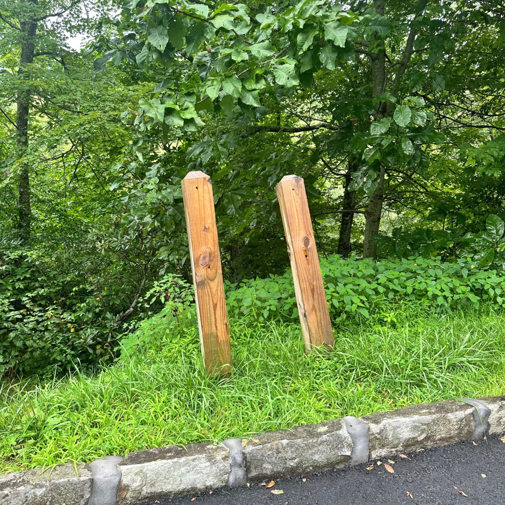 Sims Creek