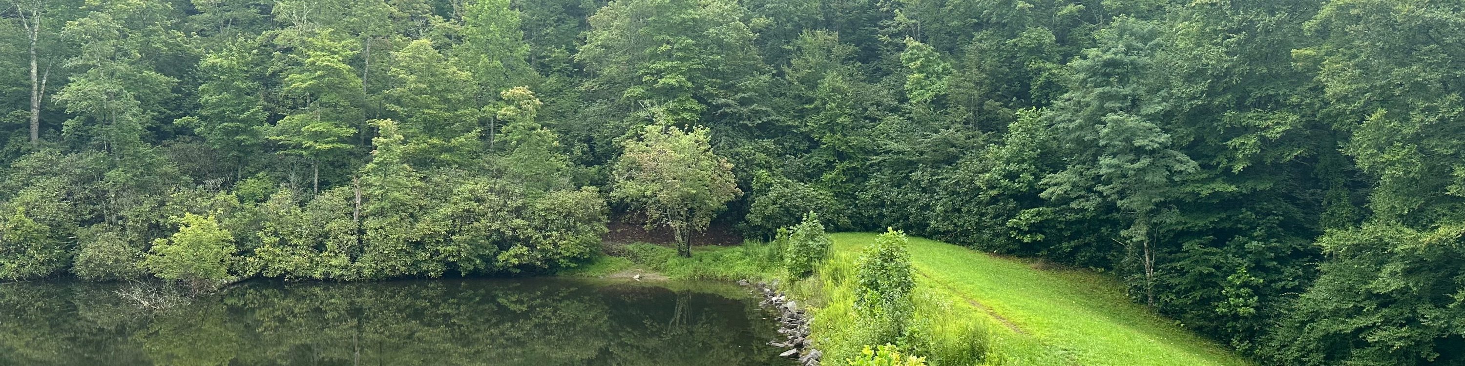 Sims Pond Overlook