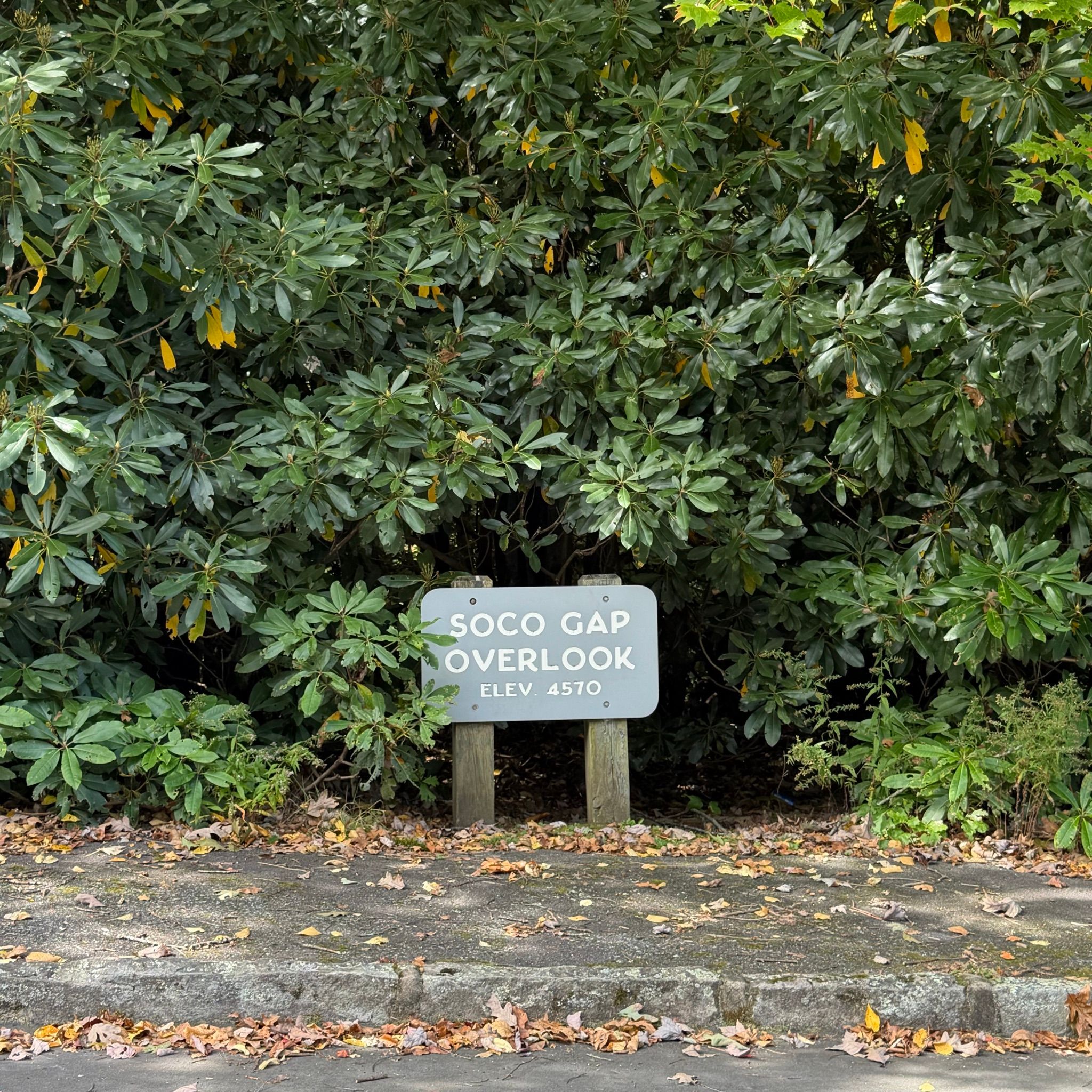Soco Gap Overlook