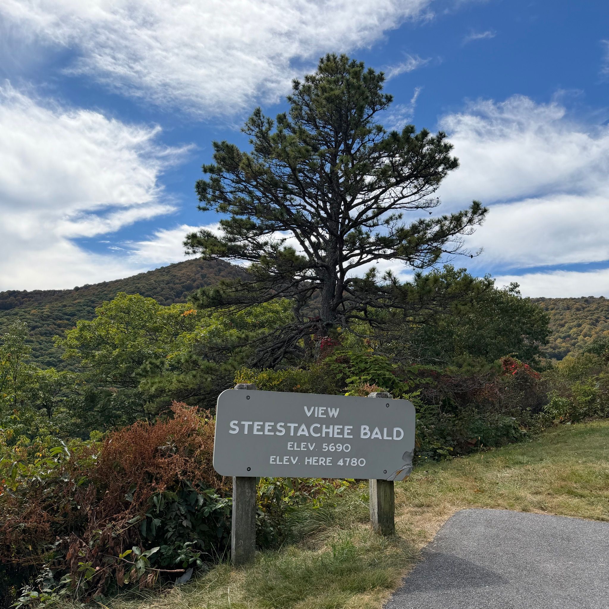 View of Steestachee Bald
