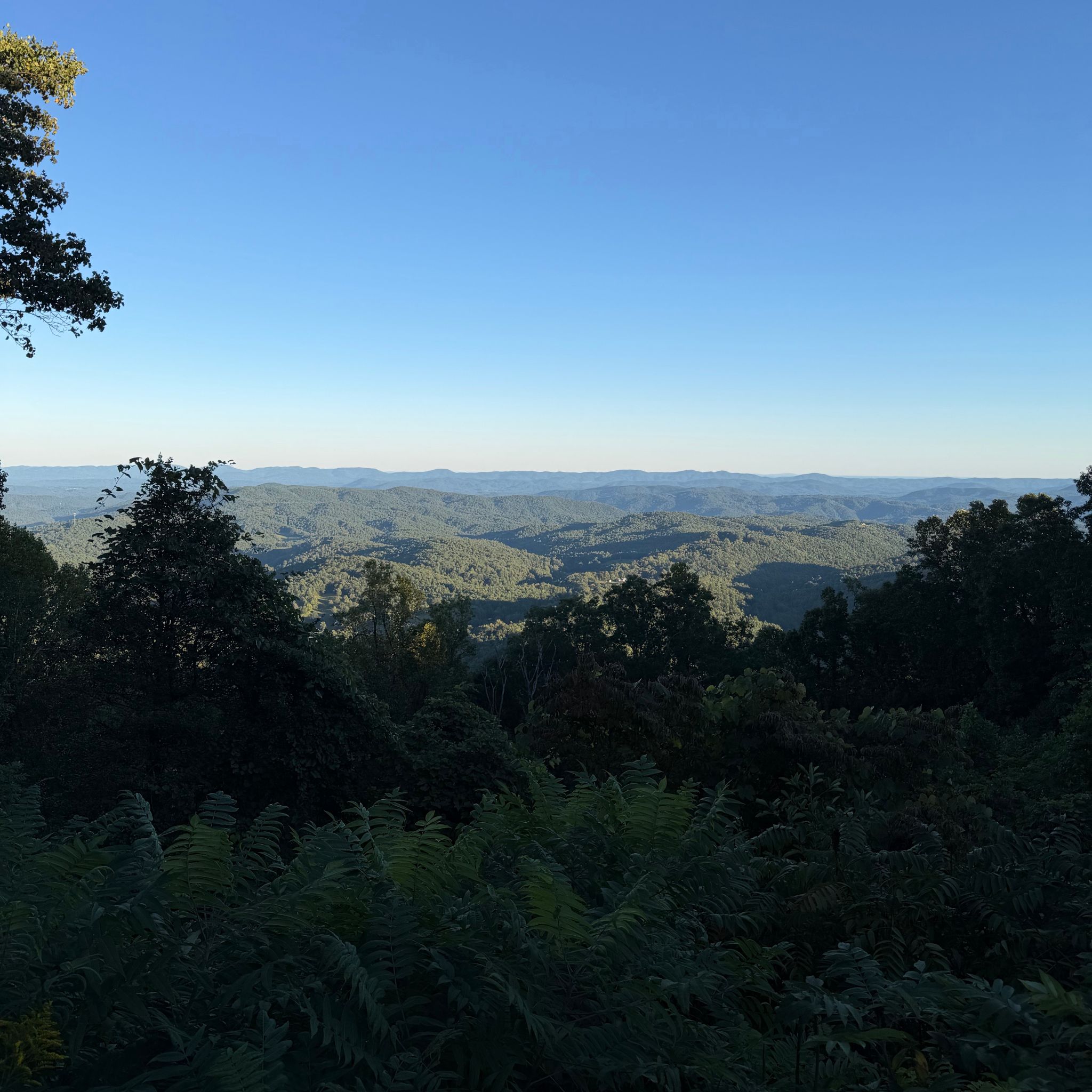 Photo of stoney-fork