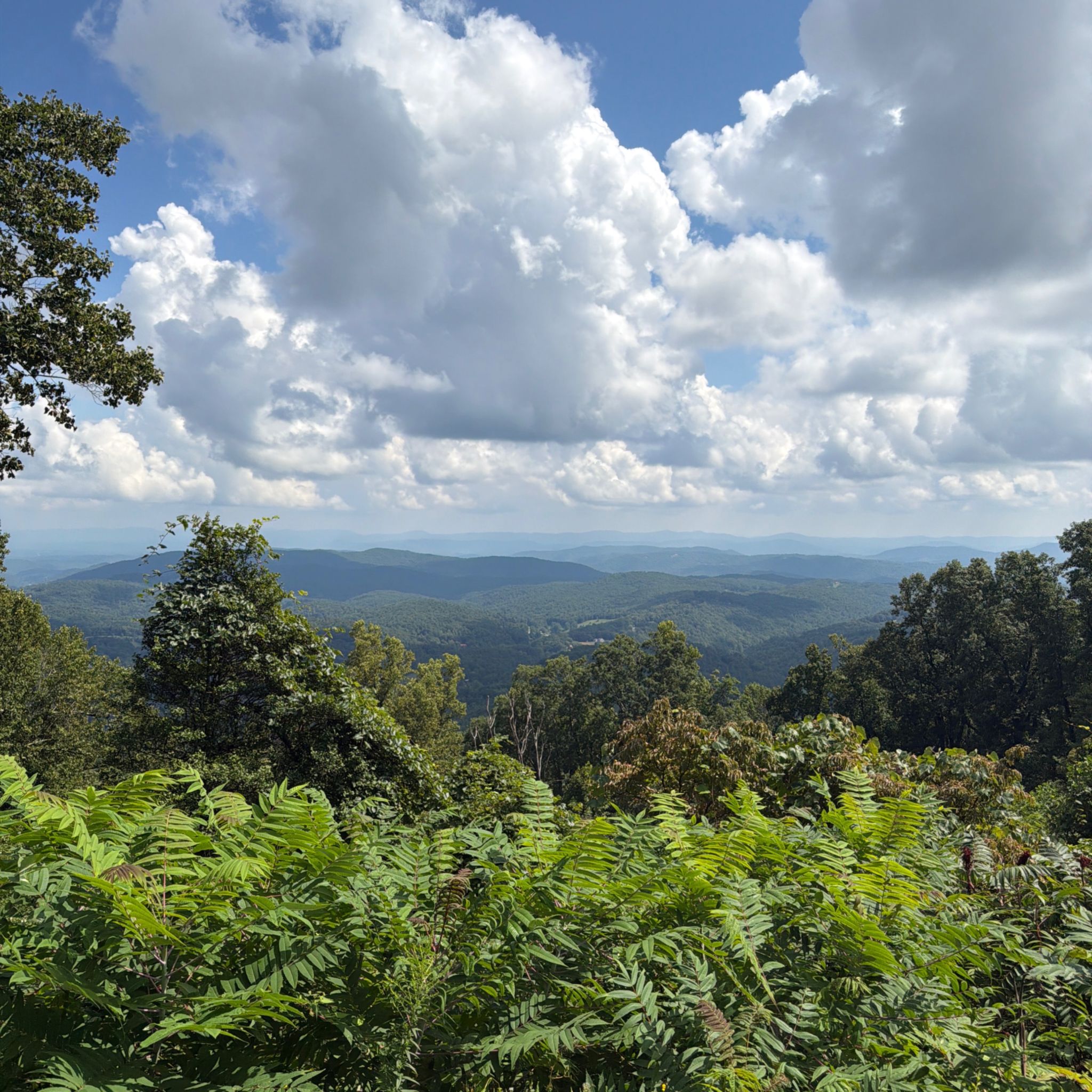 Photo of stoney-fork