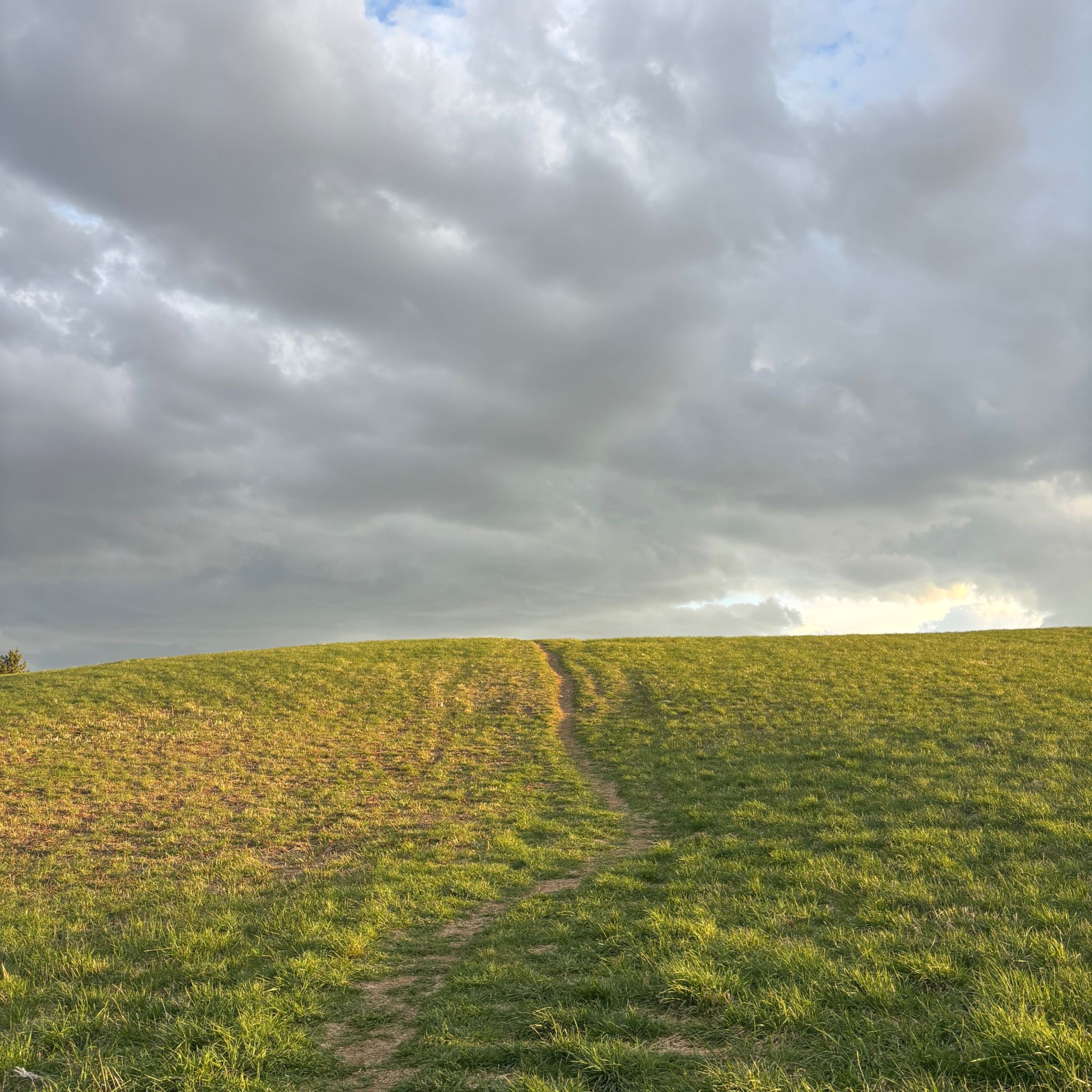 Photo of the-lump