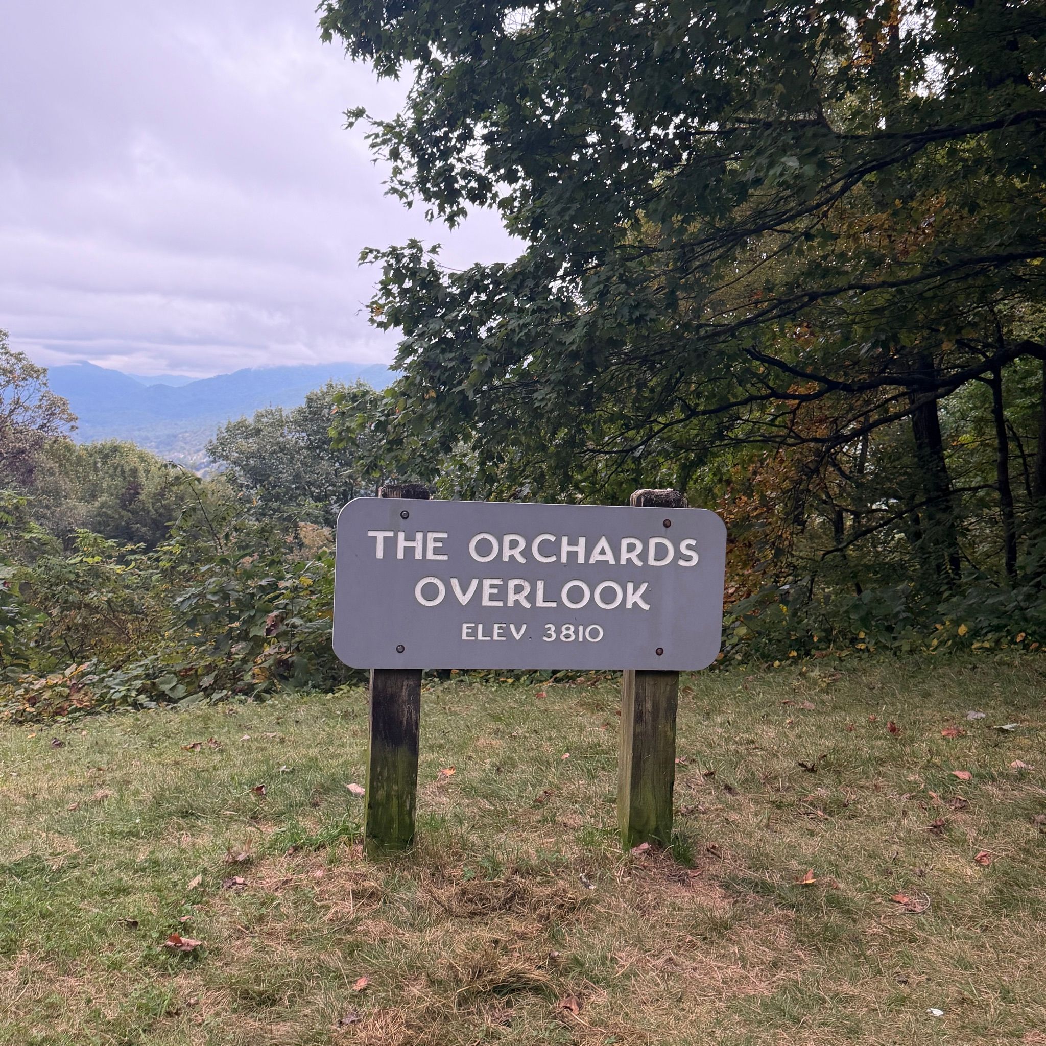 The Orchards Overlook