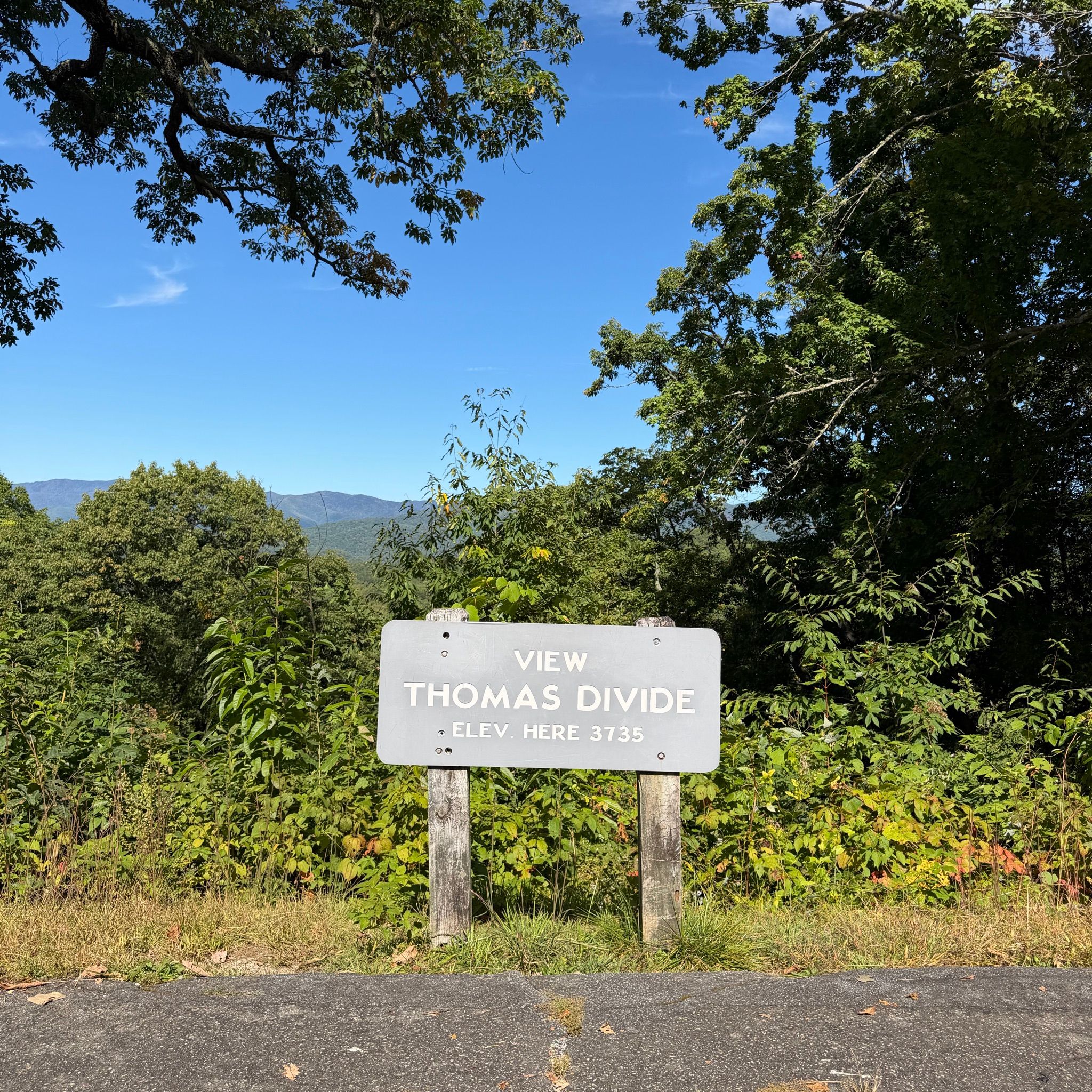 View of Thomas Divide