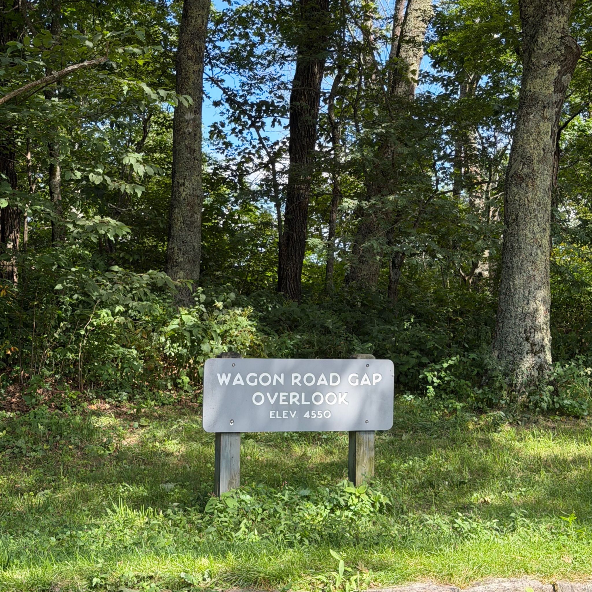 Wagon Road Gap Overlook