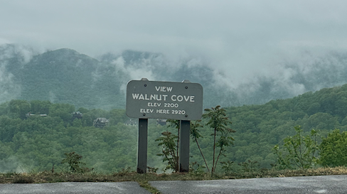 View of Walnut Cove
