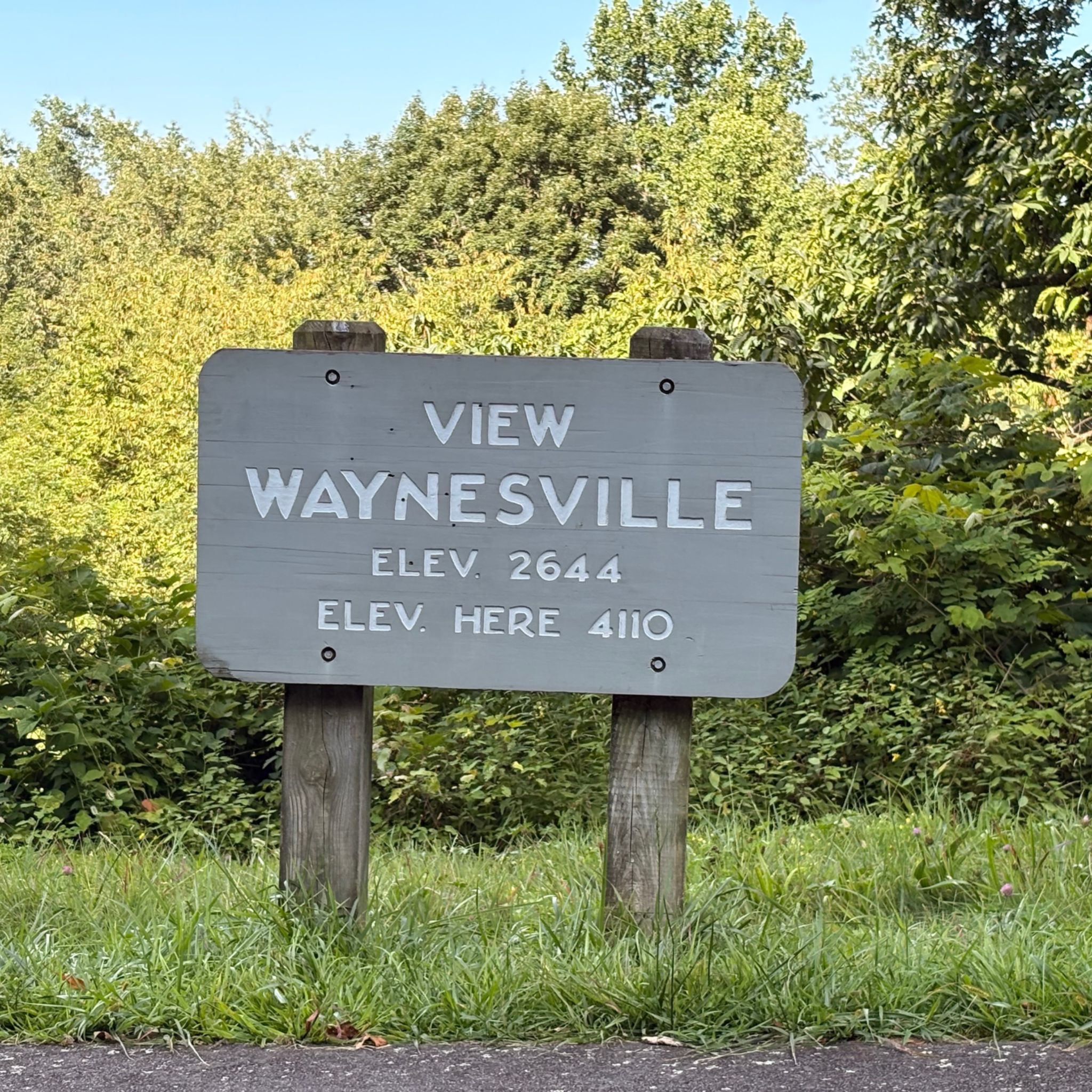 View of Waynesville