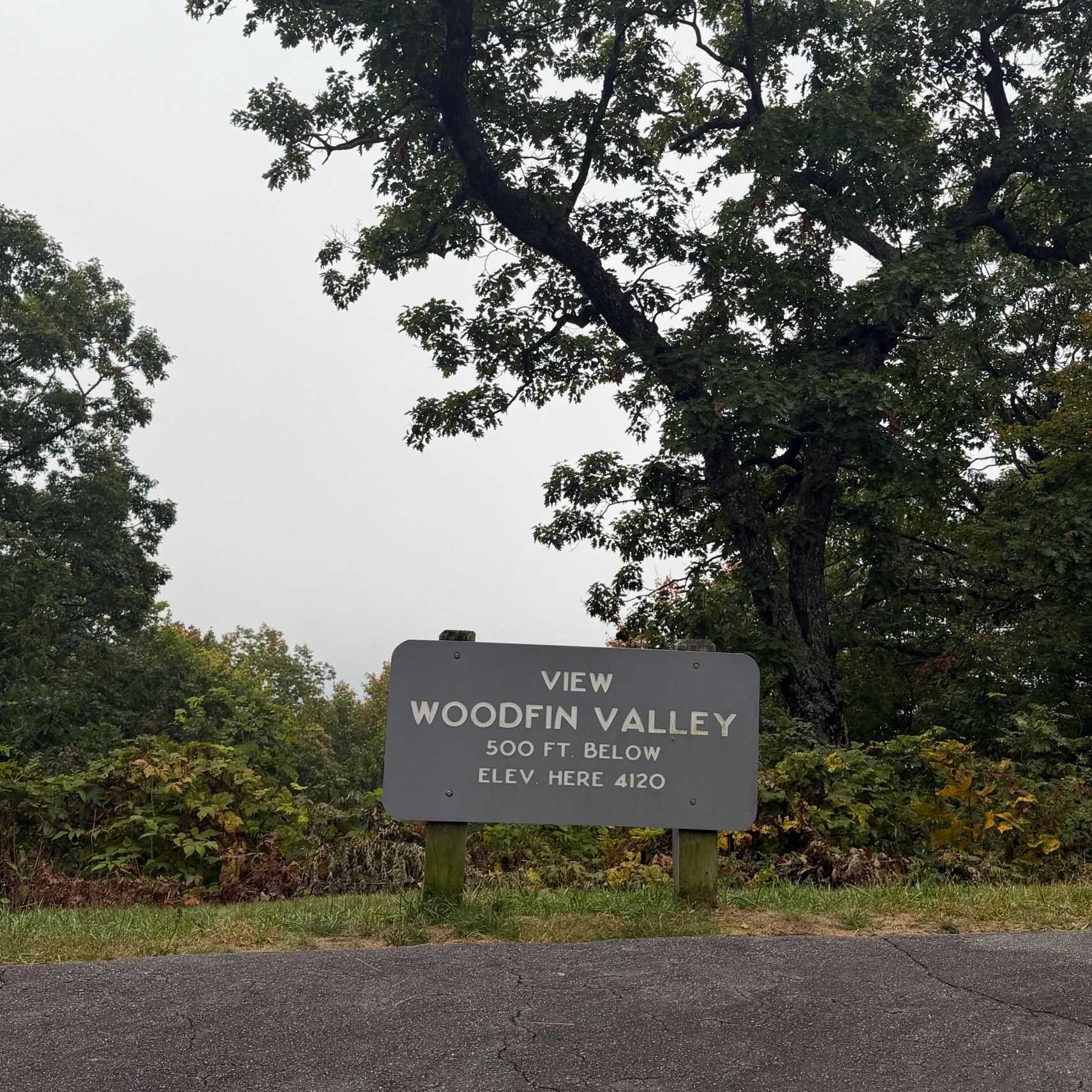View of Woodfin Valley