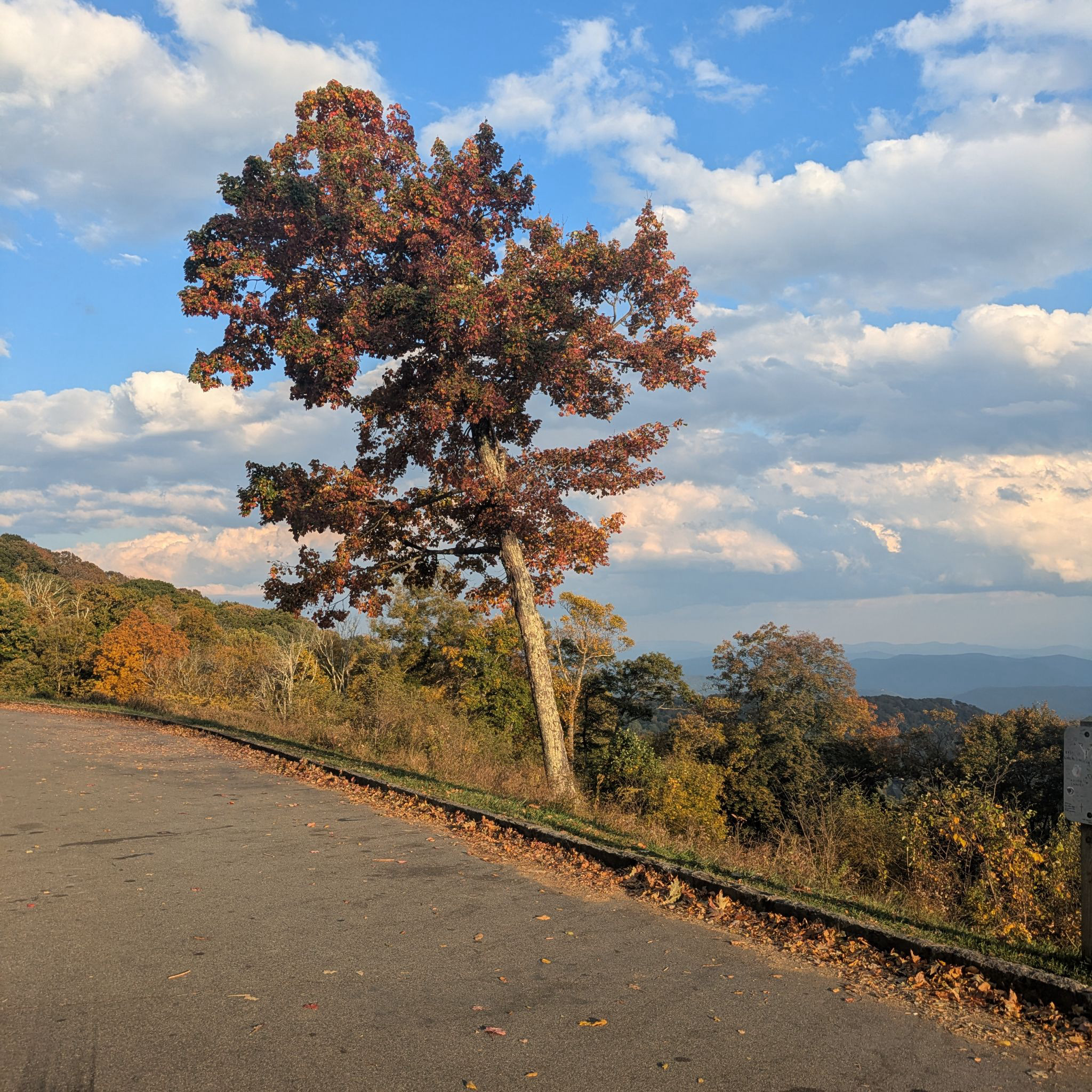 Yadkin Valley Overlook