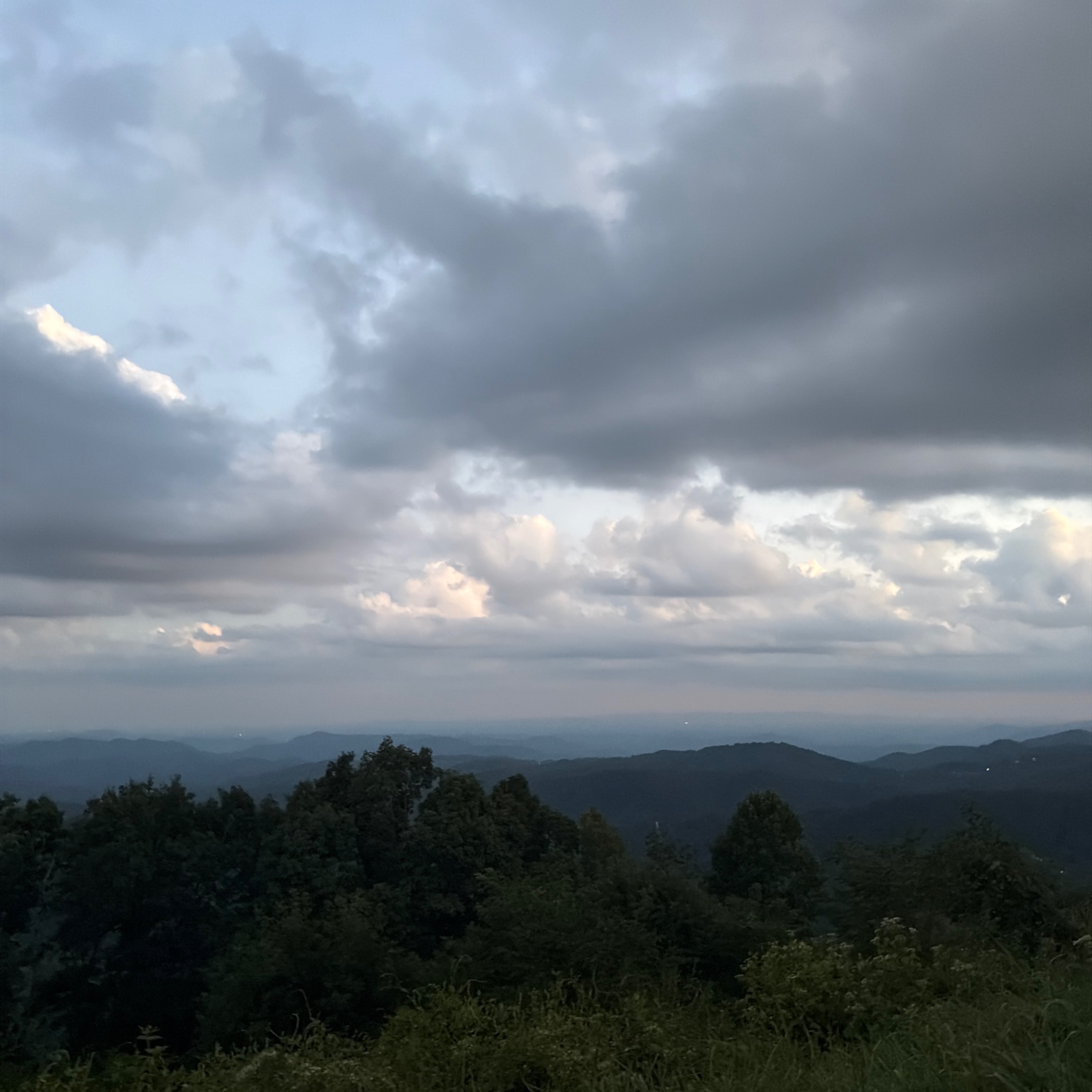 Photo of yadkin-valley