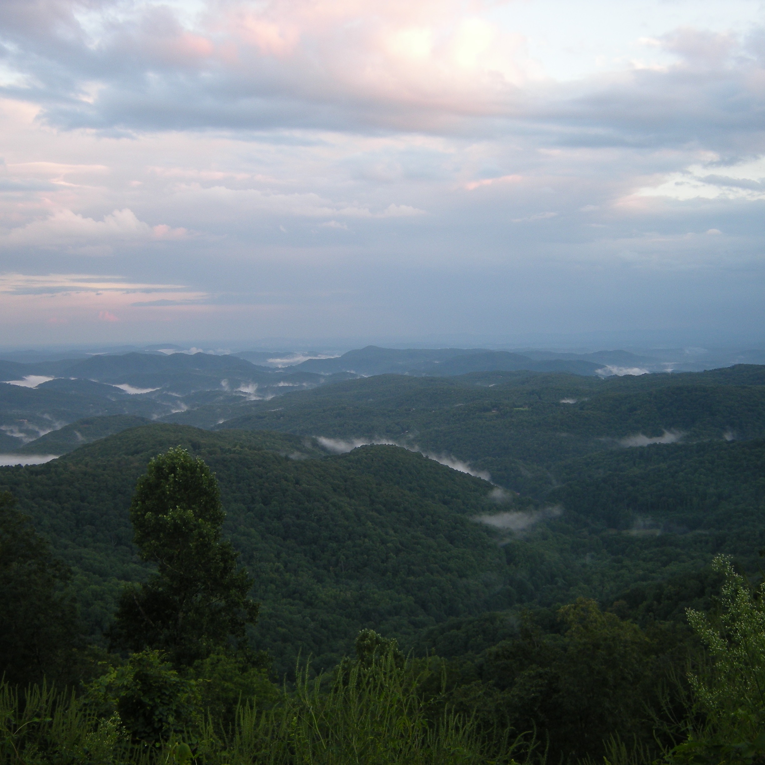 Photo of yadkin-valley