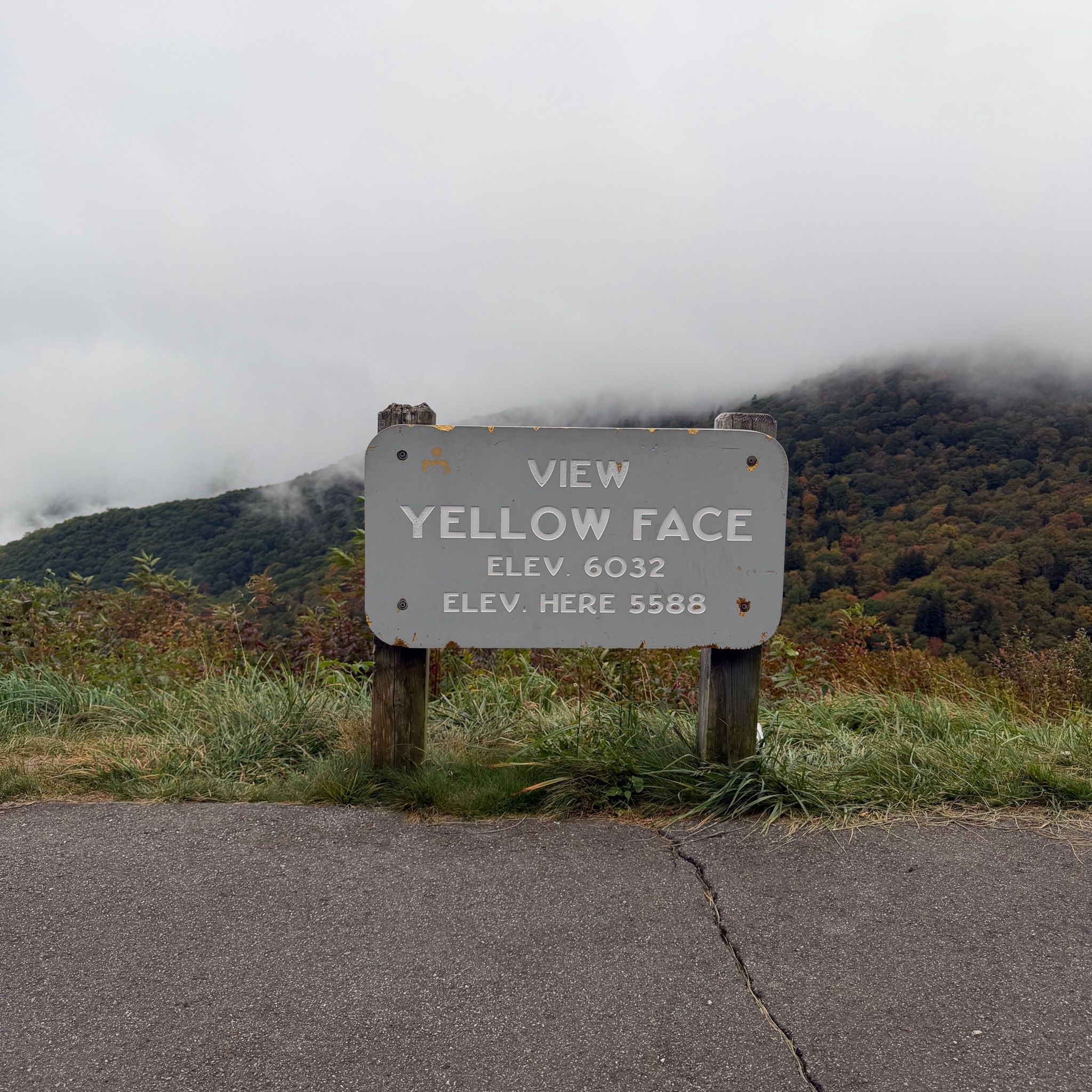 View of Yellow Face