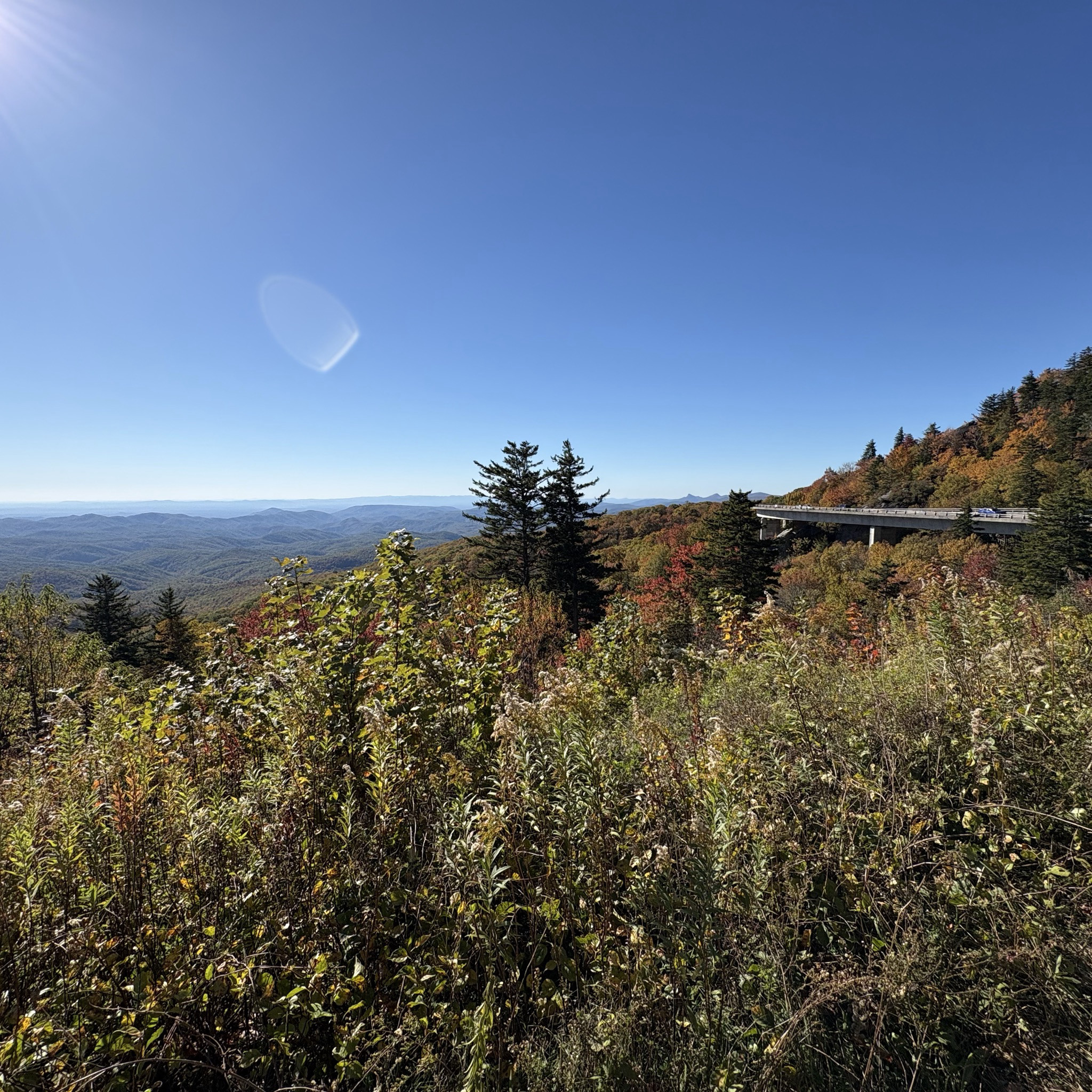 View of Lin Cove Viaduct (short walk from Yanahlossee Overlook pull off area).
